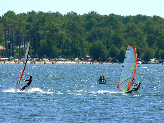 Le Lou Broustaricq Aquitanien - Sanguinet visuel 11/13