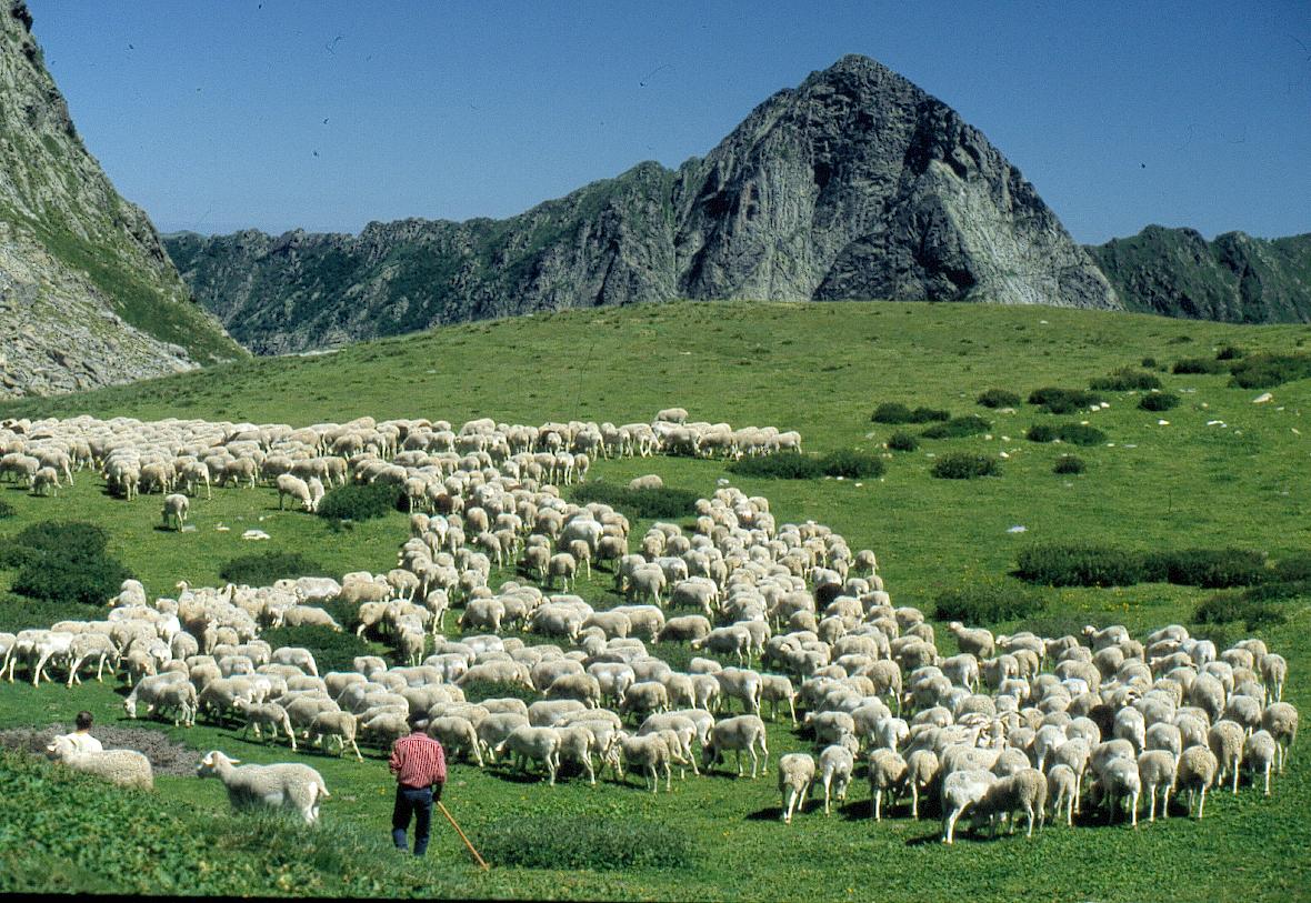 Le Malazéou Midi-Pyrénées - Ax-les-Thermes visuel 12/16 Le Malazéou Midi-Pyrénées - Ax-les-Thermes visuel 12/16