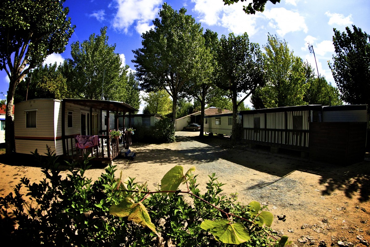 Le Marais Neuf Das Loire-Gebiet - La Barre-de-Monts visuel 4/8 Le Marais Neuf Das Loire-Gebiet - La Barre-de-Monts visuel 4/8