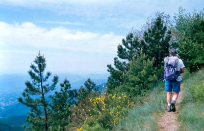Le Martinet Languedoc-Roussillon - Saint-Étienne-Vallée-Française visuel 6/10 Le Martinet Languedoc-Roussillon - Saint-Étienne-Vallée-Française visuel 6/10