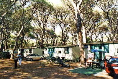 Le Marze Toskana - Marina di Grosseto visuel 12/17