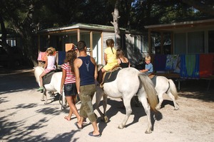 Le Mas Provence-Alpes-Côte d'Azur - Martigues visuel 11/11