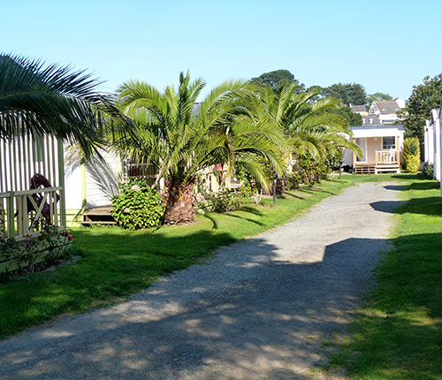 Le Mat Bretagne - Trévou-Tréguignec visuel 8/11