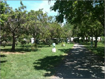 Le Mouliat Aquitanien - Moncrabeau visuel 2/10