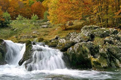 Le Moulin Midi-Pyrénées - Martres-Tolosane visuel 8/10