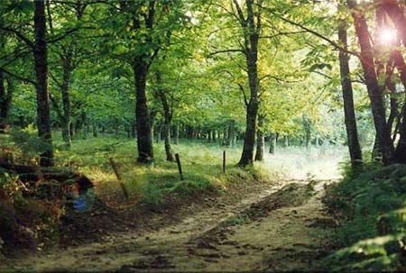 Le Moulin de la Prade Aquitanien - Prats-du-Périgord visuel 2/7 Le Moulin de la Prade Aquitanien - Prats-du-Périgord visuel 2/7