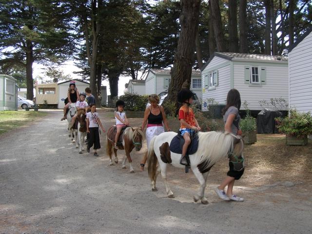 Le Moulin de l'Eclis Das Loire-Gebiet - Assérac visuel 9/11