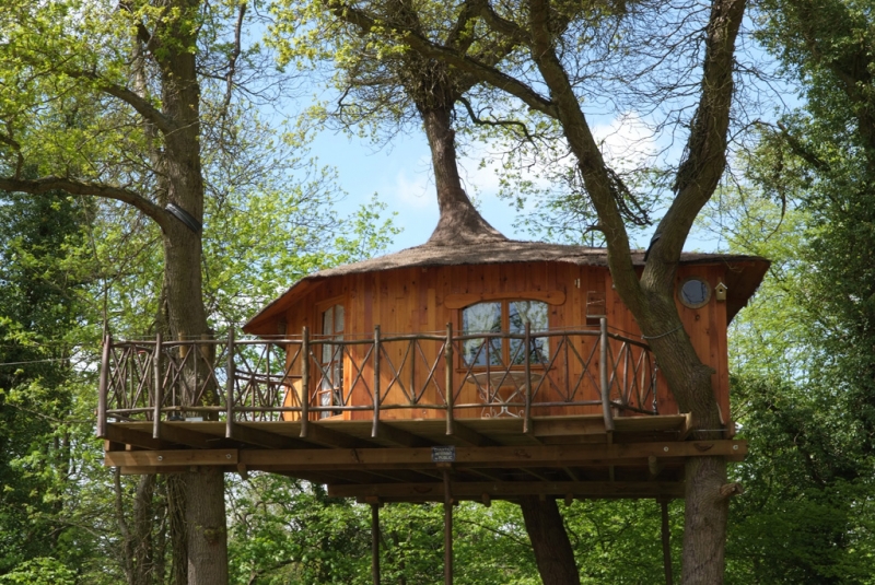 Le Nid dans l'Arbre Picardie - Pierrefonds visuel 1/10 Le Nid dans l'Arbre Picardie - Pierrefonds visuel 1/10