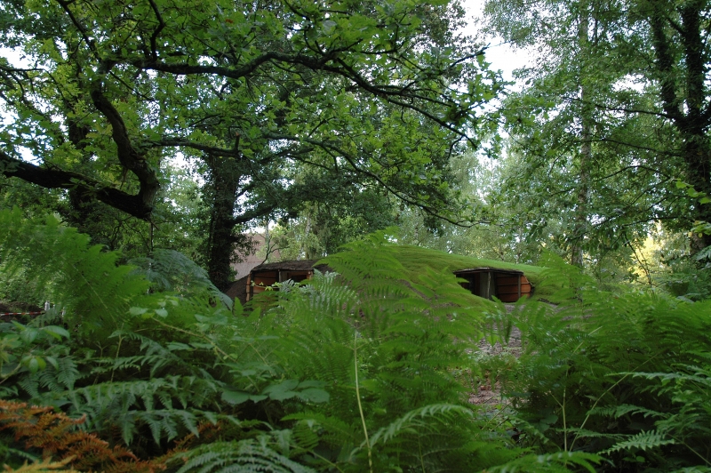 Le Nid dans les Bruyères Picardie - Fère-en-Tardenois visuel 2/10 Le Nid dans les Bruyères Picardie - Fère-en-Tardenois visuel 2/10