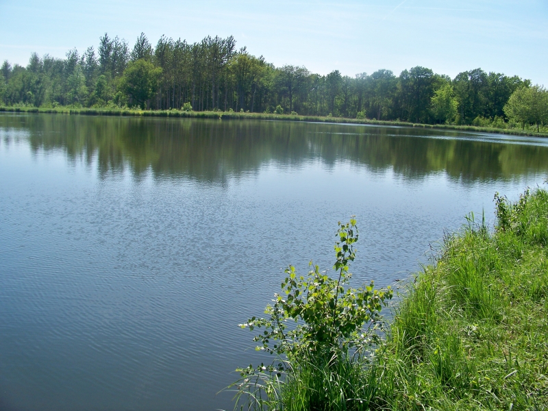 Le Nid dans les Bruyères Picardie - Fère-en-Tardenois visuel 4/10 Le Nid dans les Bruyères Picardie - Fère-en-Tardenois visuel 4/10
