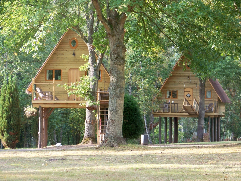 Le Nid dans les Bruyères Picardie - Fère-en-Tardenois visuel 6/10 Le Nid dans les Bruyères Picardie - Fère-en-Tardenois visuel 6/10