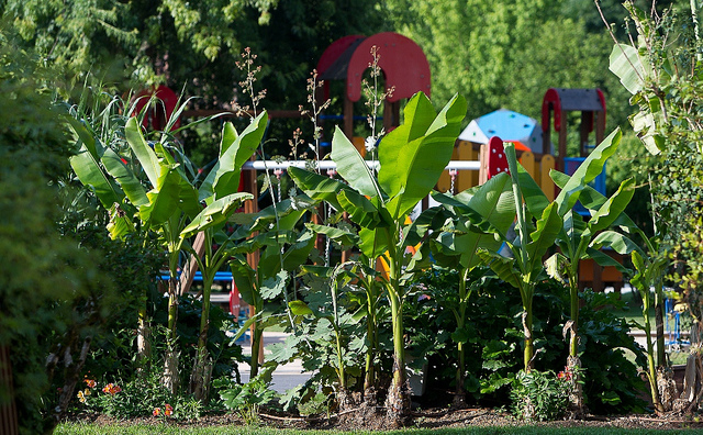 Le Paradis Aquitanien - Saint-Léon-sur-Vézère visuel 2/9 Le Paradis Aquitanien - Saint-Léon-sur-Vézère visuel 2/9