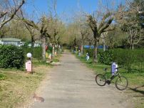 Le Parc Aquitanien - Lalinde visuel 3/3 Le Parc Aquitanien - Lalinde visuel 3/3