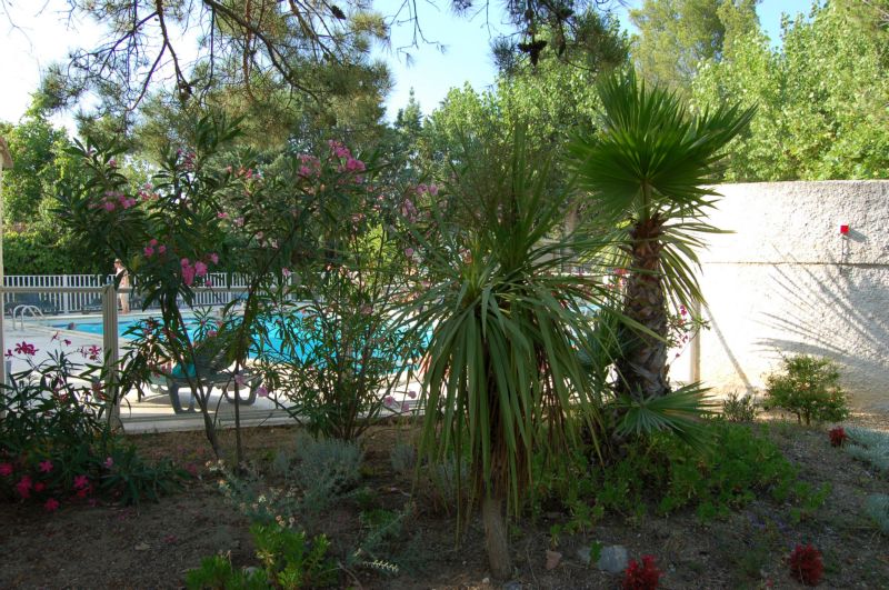 Le Parc Languedoc-Roussillon - Lattes visuel 11/11