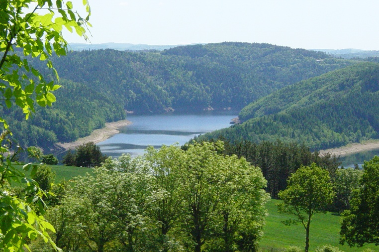 Le Petit Bois Auvergne - Ruynes en Margeride visuel 2/10 Le Petit Bois Auvergne - Ruynes en Margeride visuel 2/10