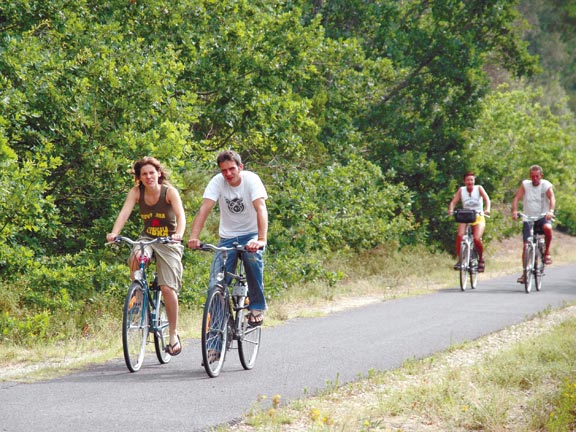 Le Petit Bois Auvergne - Ruynes en Margeride visuel 7/10 Le Petit Bois Auvergne - Ruynes en Margeride visuel 7/10