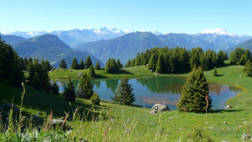 Le Petit Nice Rhône-Alpen - Saint-Martin-sur-la-Chambre visuel 1/1 Le Petit Nice Rhône-Alpen - Saint-Martin-sur-la-Chambre visuel 1/1