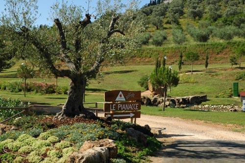 Le Pianacce Toskana - Castagneto Carducci visuel 3/13