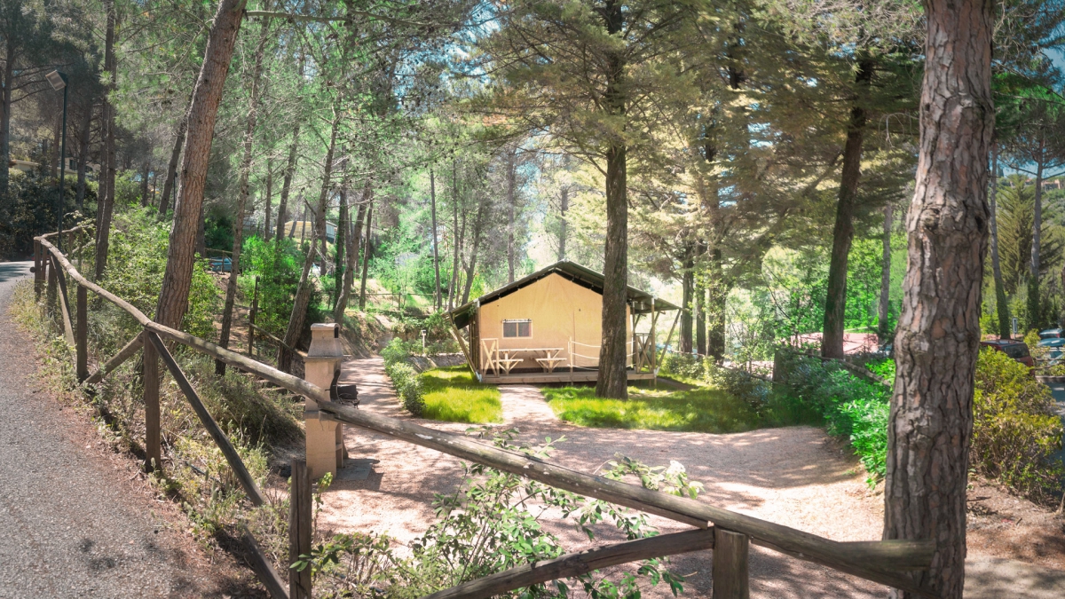 Le Pianacce Toskana - Castagneto Carducci visuel 4/13