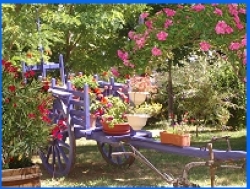 le Pigeonnier Midi-Pyrénées - Miers visuel 4/9