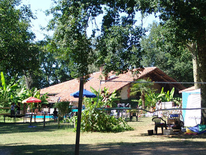 Le Pin Aquitanien - Saint-Justin visuel 3/6