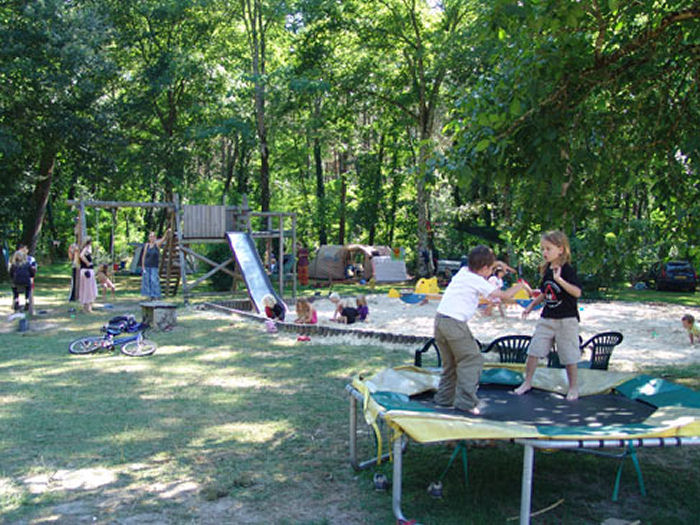 Le Pin Aquitanien - Saint-Justin visuel 5/6