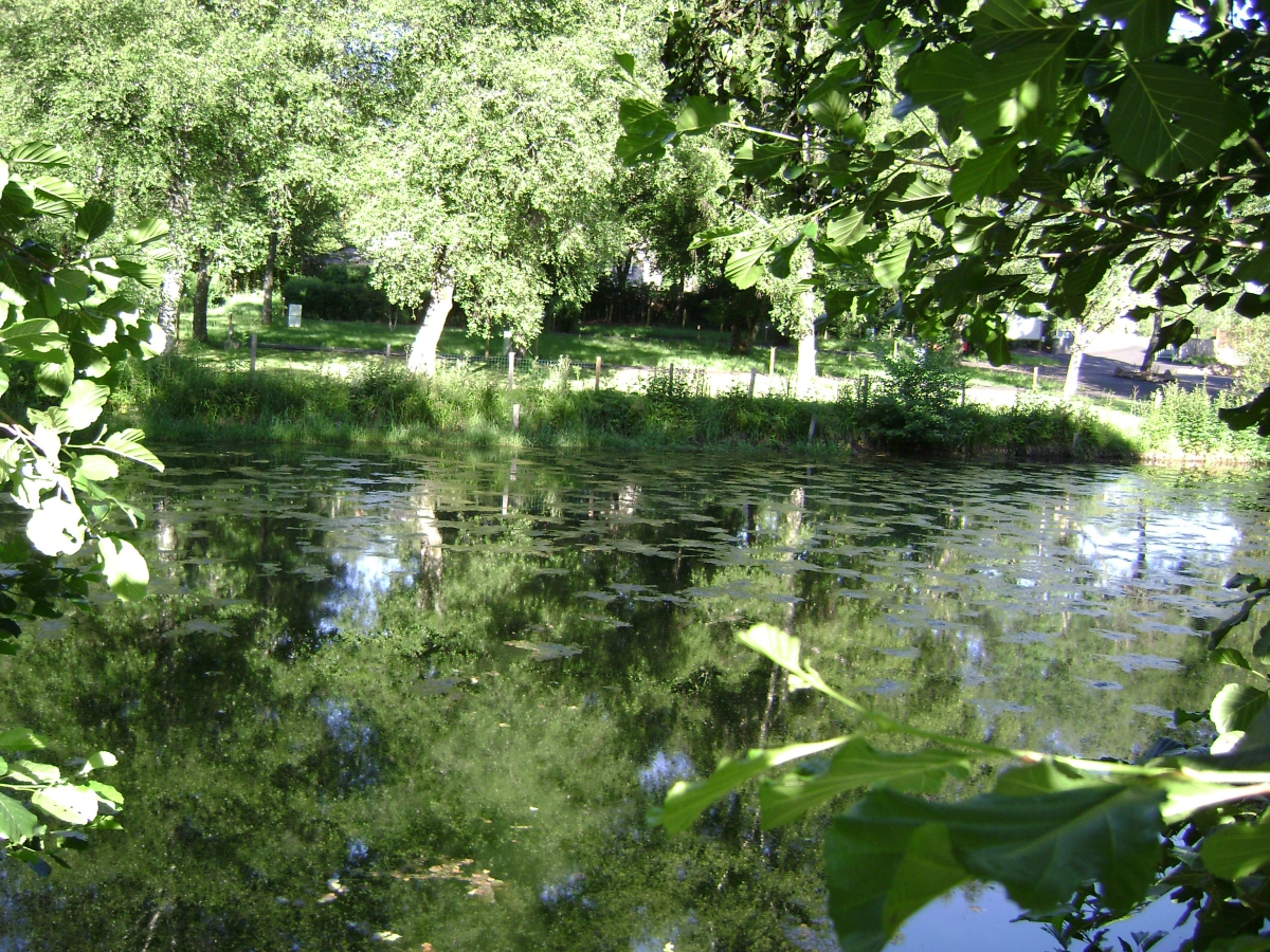 Le Pont de la Dordogne Auvergne - Saint-Sauves-d'Auvergne visuel 4/10 Le Pont de la Dordogne Auvergne - Saint-Sauves-d'Auvergne visuel 4/10