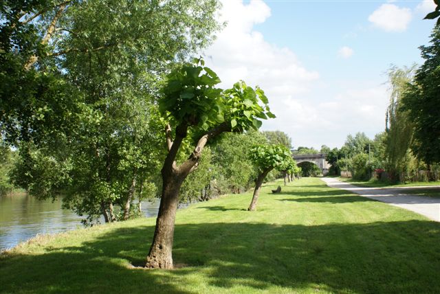 Le Pontet Aquitanien - Saint-Astier visuel 8/12 Le Pontet Aquitanien - Saint-Astier visuel 8/12