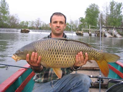 Le Pressoir Aquitanien - Petit-Palais-et-Cornemps visuel 6/11 Le Pressoir Aquitanien - Petit-Palais-et-Cornemps visuel 6/11