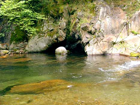 le P'tit Bonheur Languedoc-Roussillon - Escaro visuel 5/5