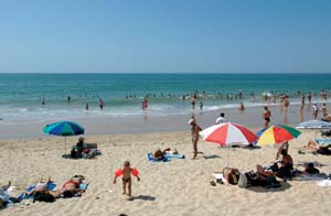 Le Puits Rochais Das Loire-Gebiet - Château-d'Olonne visuel 4/10 Le Puits Rochais Das Loire-Gebiet - Château-d'Olonne visuel 4/10