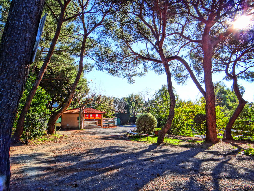 Le Ranch Provence-Alpes-Côte d'Azur - Le Cannet visuel 9/10