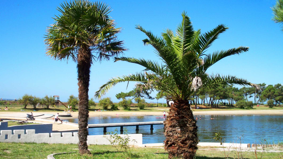 Le Roumingue Aquitanien - Lanton visuel 6/10