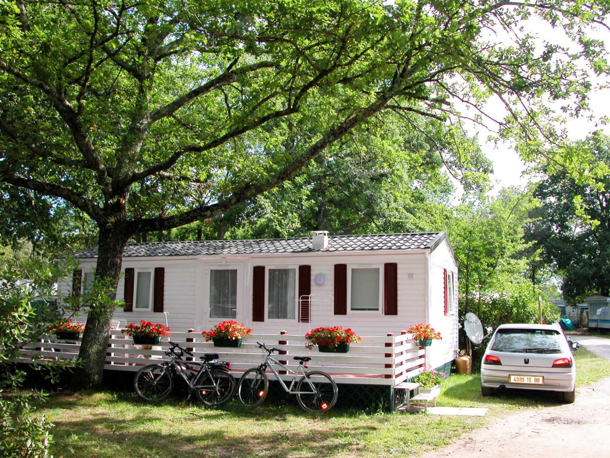 Le Roumingue Aquitanien - Lanton visuel 7/10