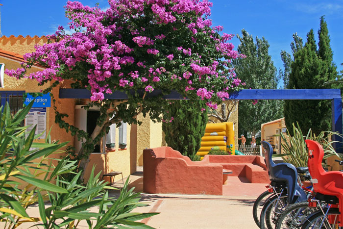 Le Roussillon Languedoc-Roussillon - Saint-Cyprien visuel 8/11 Le Roussillon Languedoc-Roussillon - Saint-Cyprien visuel 8/11