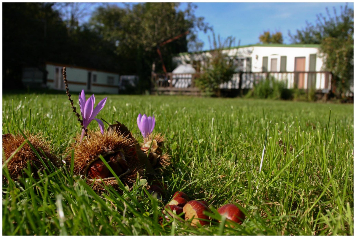 Le Rural Midi-Pyrénées - Tibiran-Jaunac visuel 3/4 Le Rural Midi-Pyrénées - Tibiran-Jaunac visuel 3/4