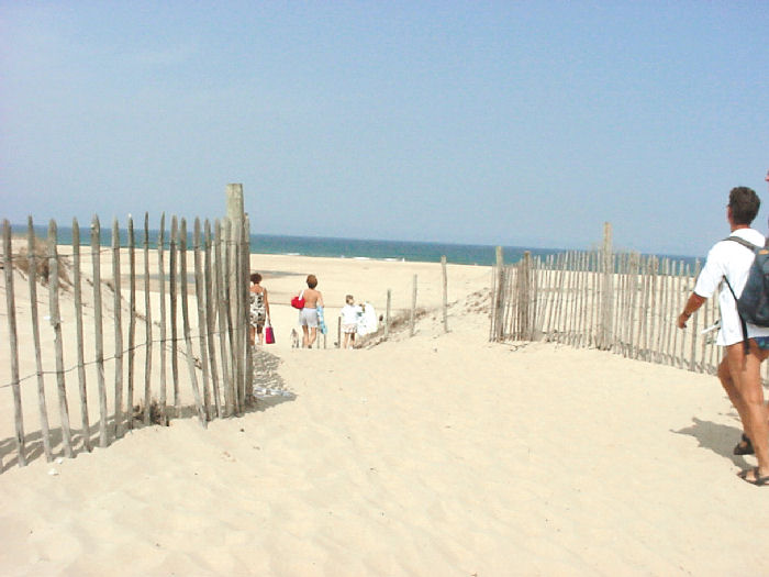 Le Saint Martin Aquitanien - Moliets-et-Maa visuel 9/10