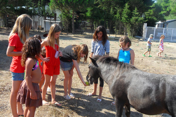 Le Sainte Marie Languedoc-Roussillon - Sainte Marie la Mer visuel 10/12