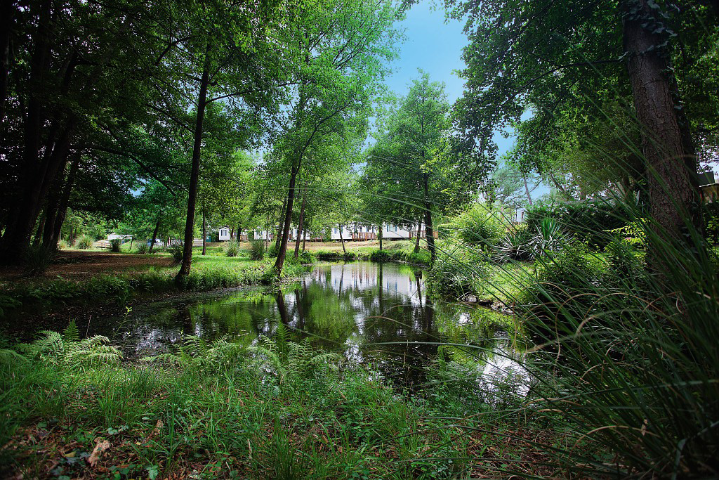Le Soleil des Landes Aquitanien - Lit-et-Mixe visuel 9/16