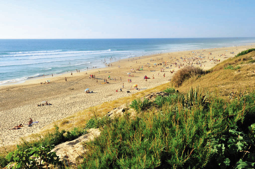 Le Soleil des Landes Aquitanien - Lit-et-Mixe visuel 15/16