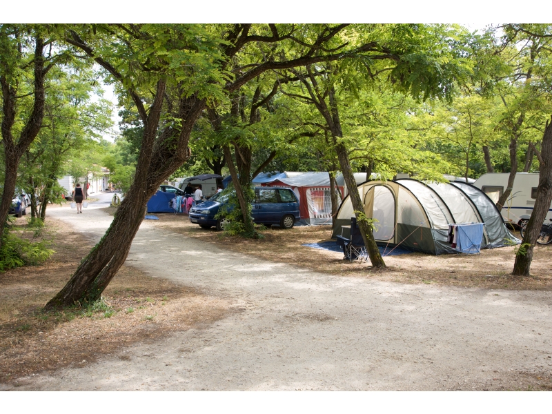 Le Suroit Poitou-Charentes - Saint-Georges-d'Oléron visuel 6/10 Le Suroit Poitou-Charentes - Saint-Georges-d'Oléron visuel 6/10