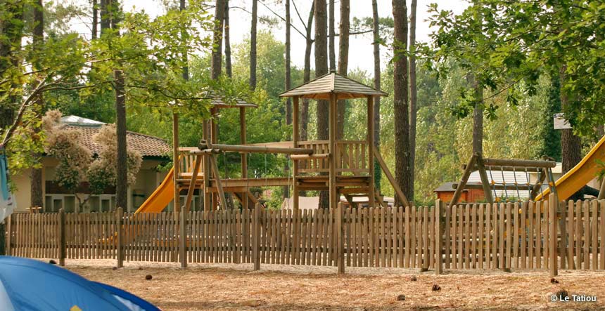 Le Tatiou Aquitanien - Bias visuel 4/10