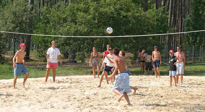 Le Tatiou Aquitanien - Bias visuel 6/10