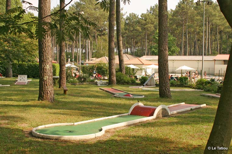 Le Tatiou Aquitanien - Bias visuel 7/10