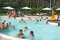 Le Tatiou Aquitanien - Bias visuel 8/10