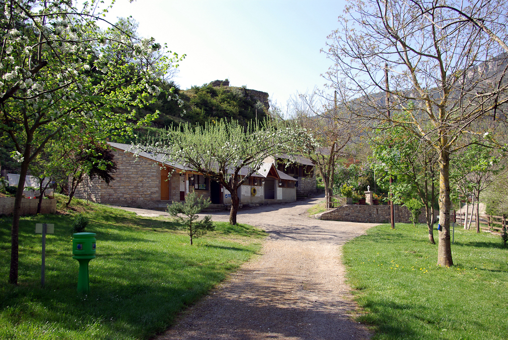 Le Terrados Languedoc-Roussillon - Les Vignes visuel 6/10
