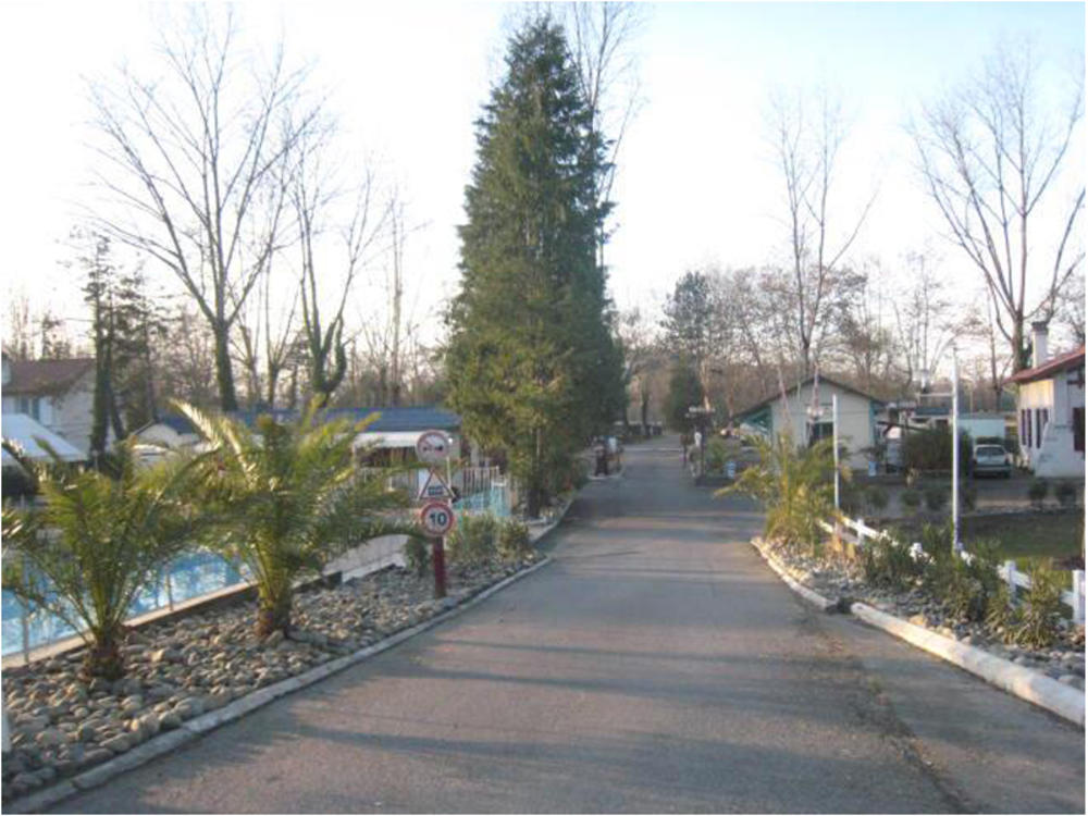 Le Terrier Aquitanien - Lescar visuel 1/1 Le Terrier Aquitanien - Lescar visuel 1/1