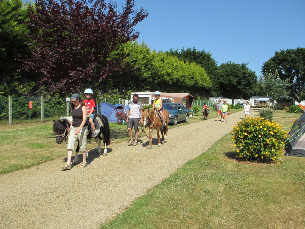 Le Varquez-sur-Mer Bretagne - Plouha visuel 6/9