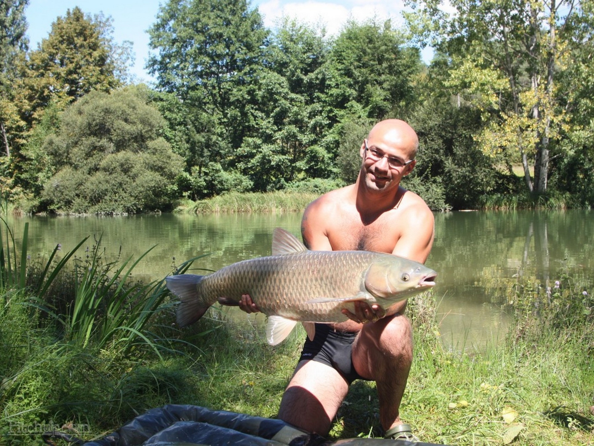 Le Verdoyant  Aquitanien - Thenon visuel 4/6 Le Verdoyant  Aquitanien - Thenon visuel 4/6