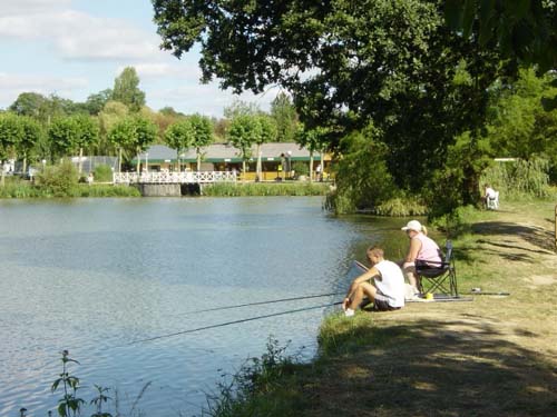 Le Vieux Chêne Bretagne - Dol-de-Bretagne visuel 9/11 Le Vieux Chêne Bretagne - Dol-de-Bretagne visuel 9/11